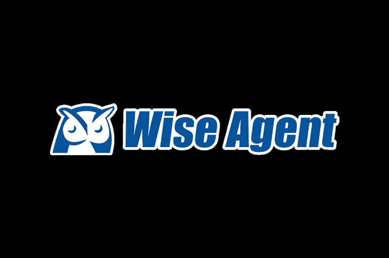 WISE AGENT LOGO website